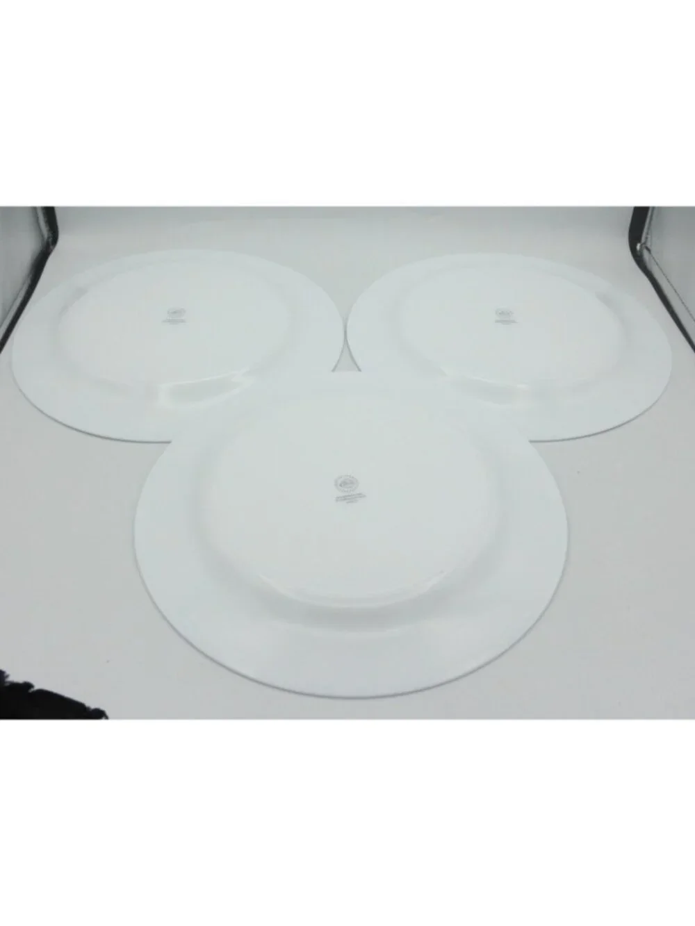 Martha Stewart Everyday Garden Trellis Dinner Plates 10.5 IN. Set of 3 Pattern